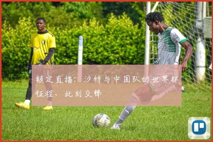 锁定直播：沙特与中国队的世界杯征程，此刻交锋