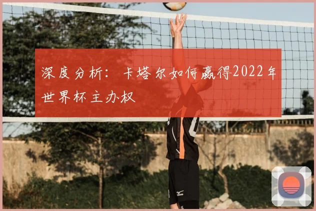 深度分析：卡塔尔如何赢得2022年世界杯主办权
