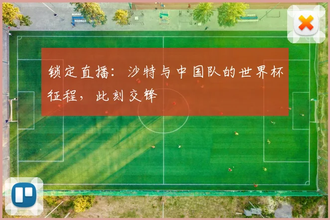 锁定直播：沙特与中国队的世界杯征程，此刻交锋